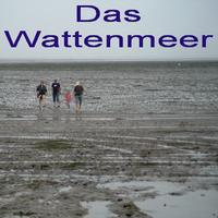 Das Wattenmeer in der Nordsee – Texts to read