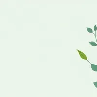 La carta_A2, 12. La carta_A2 – Текст для читання