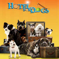 Novellas, Hotel for Dogs by Lois Duncan ch 7-1