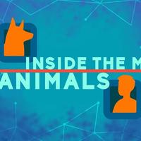 TedEd EDUCATOR TALKS, Inside the minds of animals - Bryan...