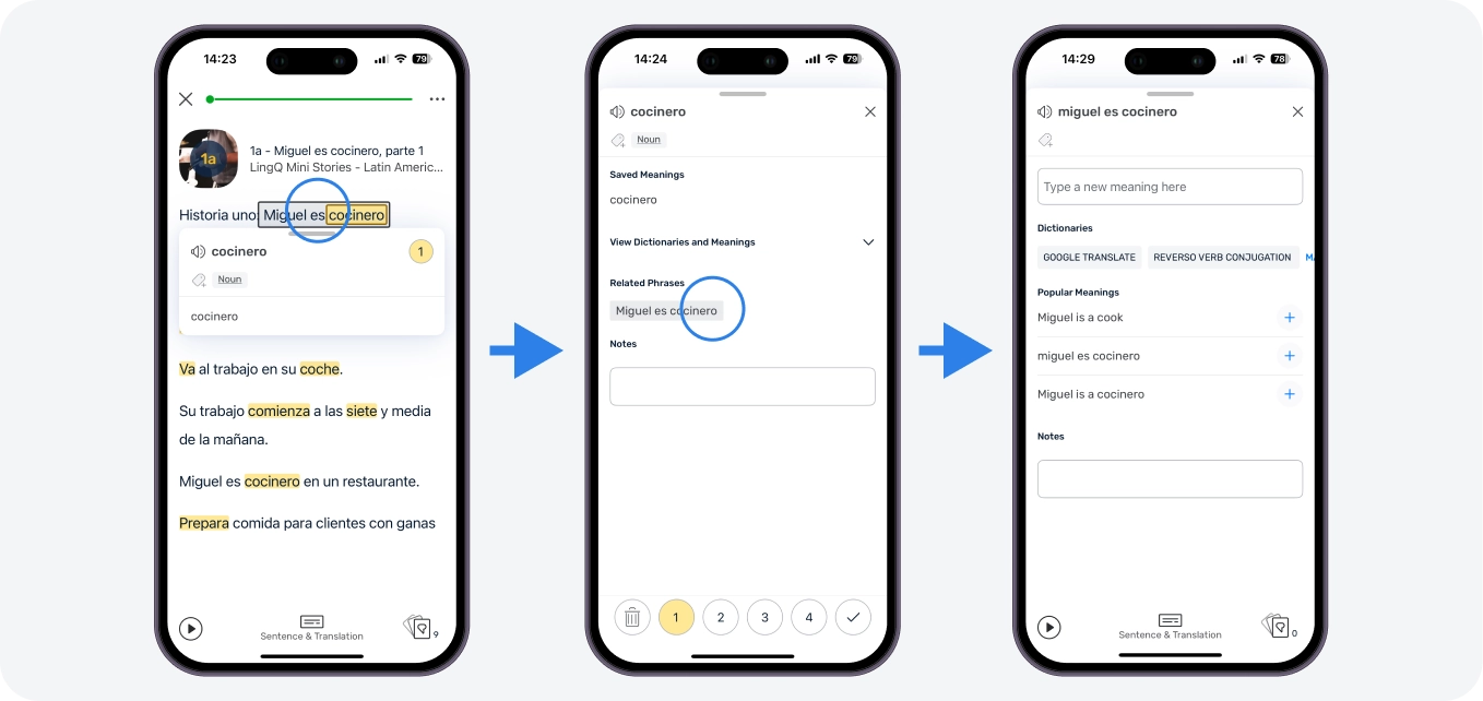 As you create LingQs for words, you will notice that sometimes you see grey highlighting around groups of words. This tells you that there are Related Phrases for this word. Tap again on that word to see a list of the related phrases.