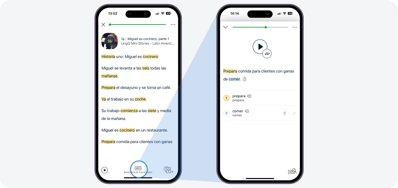In the Reader, drill down to focus on single sentences. Get a sentence translation, sentence audio and a list of vocabulary for that sentence.