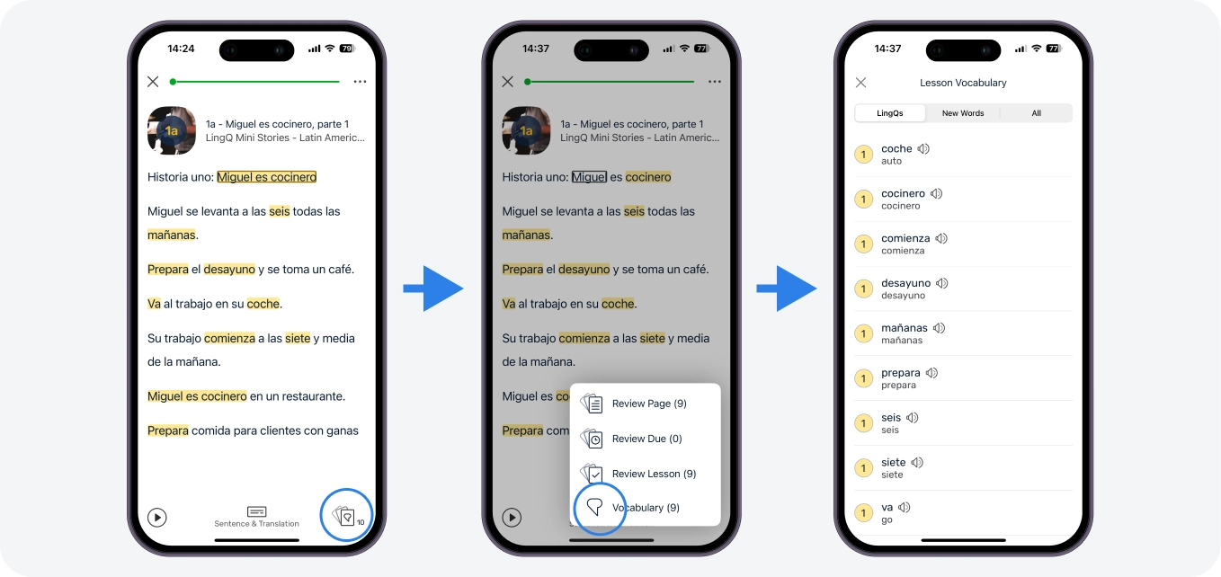 You can either review your vocabulary on the Reader or in the Vocabulary section. On the Reader simply tap on the Review button showing you the number of LingQs you have created for the lesson and choose your review option.